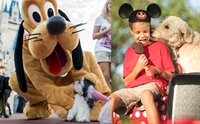 ѡ! Walt Disney World Resort ͹حҵعѢҾѡ