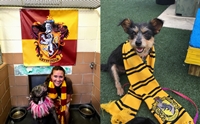 ٹѡԧ ѺٺҺҹ˹ѧѧ Harry Potter е鹡Ѻ§ !