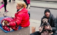 RSPCA ¤Ի 觵͡ѹ˹عѢͧúҹѧ