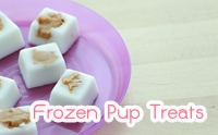 D.I.Y Frozen Pup Treats ҵٺӧ 3 ҷ