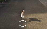 Ҿǹ! ͧ觵ö Google Street View 