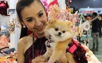 ҷҹ Thailand International Dog Show 2011 Part 3