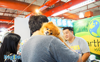 Dogilike ҵ PET EXPO THAILAND 2018 ͹ 2
