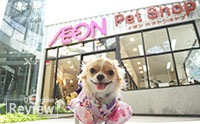  !!  Aeon Pet Shop 緪ͻ蹷á㹻 