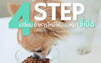 D.I.Y 4 Step   ¹ͧҢ