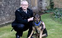  Finn عѢǨªԵ Ѻҧ Hero Animal of the Year