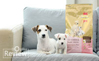 عѢǧ駷ͧ ١عѢáԴ繾ɴ SmartHeart Gold® Mother & Baby Dog 