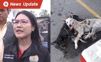 Update Ƿ觷 ѵᨧ 
