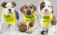 ͧ Puppy Bowl 2019 Ǵʴ !