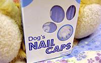 Review Dog's Nail Caps ͡Ѻͧ