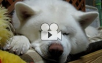 ѧѹ §ѹ...