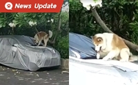 ʹ! ҡѴö·駤ѹ ҢͧͧѺ