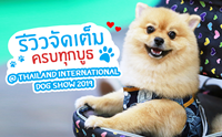 Dogilike ҵ Thailand International Dog Show 2019 ͹ 2