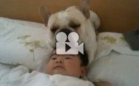 !! 躹