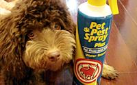 REVIEW : ӨѴ Pet Pest Spray Plus