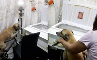 ѡش! ԻعѢѵҢͧ繤ش