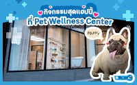 仴 Pet Wellness Center þ.ͧ Դúҧ! 
