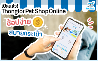 Դ! Thonglor Pet Shop Online ͻʺ¡