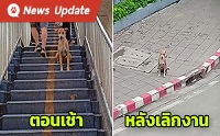حس᷹ͧ...ҨʹѺ˭ԧ价ӧҹ ѧ١Եôҧ