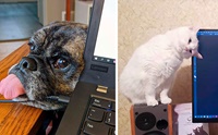 Ҿҹµͧ Work From Home ҡù!