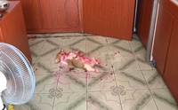 ͧժ͡! һѺШẺ