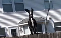 ѡԹҹҹѧ˹ شҵٺẺ! (դԻ)