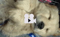 ҵٺͧس ͹ ҹ?