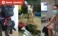 โซเชียลเดือด พิตบูลโดนเจ้าของทุ่มถุงดินใส่ ใช้รองเท้าตีปาก และจับกดน้ำ