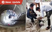 สุดสลด น้องหมา 2 ตัว วิ่งเล่นกันจนตกบ่อลึก ช่วยไม่ทันจมตาย 1 ตัว