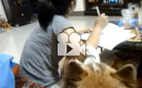 คืนดีกันนะครับเจ้านาย