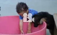 อยากลงถังใช่ไหมเจ้าตูบ