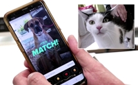 ! ѹ Tinder Һҹ 