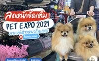 Dogilike ҵ Pet Expo Thailand 2021 ҡѹ!