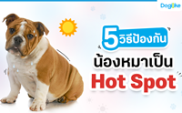 5 Ըջͧѹͧ Hot Spot
