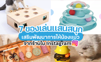 Review 7 ͧѲҡǨҡҹ Instagram