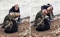 ไวรัลสุดอบอุ่น! หนูน้อยแวะกอด นั่งเล่นกับ 2 น้องหมาจร
