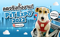 Dogilike ҵ PET EXPO THAILAND 2022 !! Ŵԧ駧ҹ