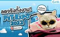 Catilike ҵ PET EXPO THAILAND 2022 !! Ŵԧ駧ҹ