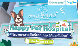 Happy Pet Hospital "çҺѵҡշá"