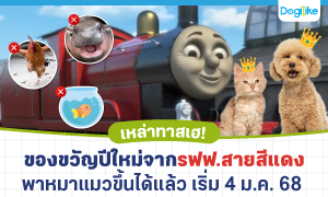 -Ǣö俿ᴧǵ͹Ѻ 2568
