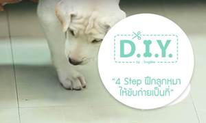 D.I.Y. 4 Step  ֡١Ѻ繷