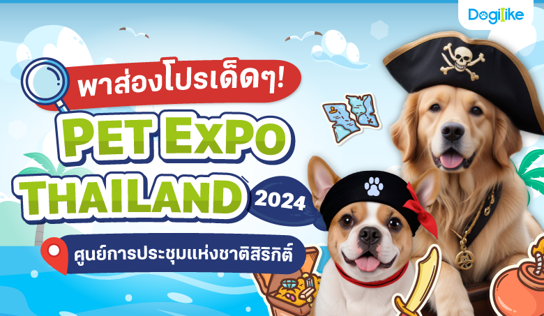ͧ! PET EXPO THAILAND 2024 @ٹԡԵ
